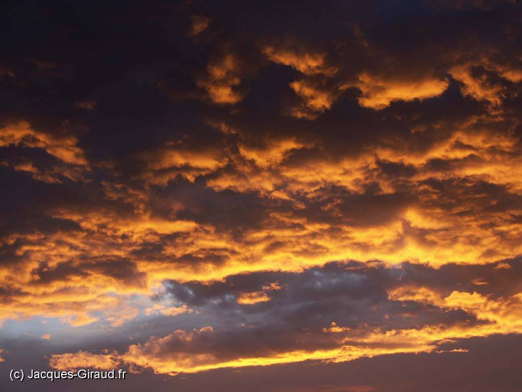 2004-09-15 19-32-03 Nature 74,0mm 1_80_eme F4,0(1024).jpg